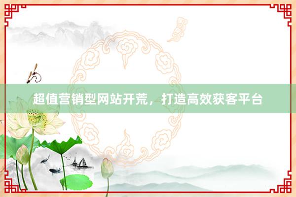 超值营销型网站开荒，打造高效获客平台